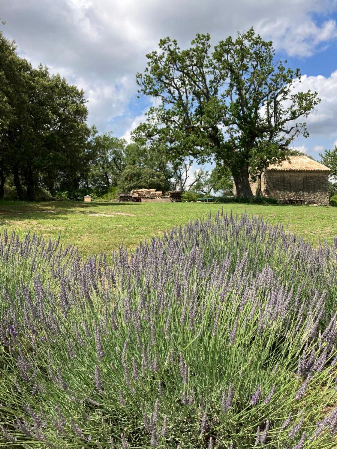Вилла La Bastide Des Roman Vernegues Экстерьер фото